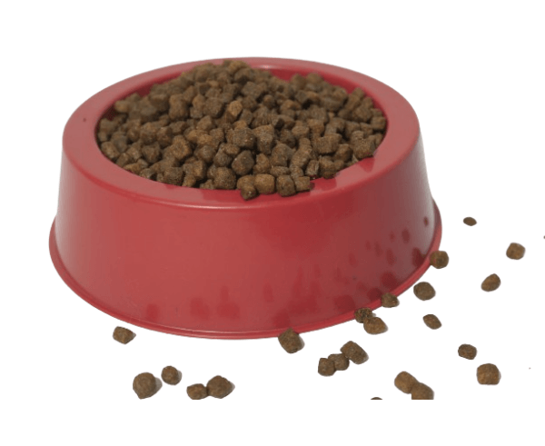 Kit 10 Comedouros para Cachorro ou Pet Porte Médio Ração 680ml - Imagem 6