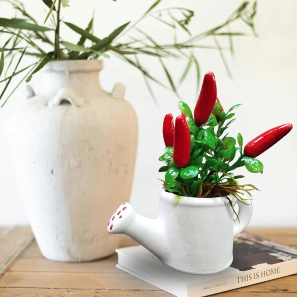 Kit 2 Vasos Regador Mini Com Pimenta Cachepô Planta Plástico Rústico e acolhedor - Imagem 5