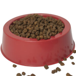 Comedouro Tigela Bebedouro Pet para Cachorro Gato tamanho 04 - Alimentadores de 1200 ml