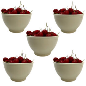 Kit 10 Cumbucas 750 Ml Plástico Açaí Sorvete Doce Salgado Resistentes