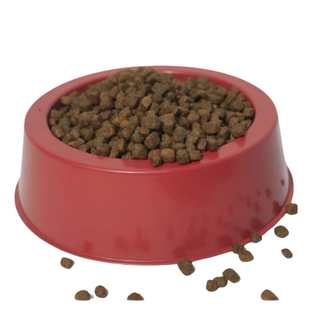 Kit 10 Comedouros para Cachorro ou Pet Porte Médio Ração 680ml Praticidade - Imagem 4