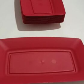 Kit 10 Bandejas Petisqueiras Plástico perfeita para Pasteis Petiscos Espetinhos Bares Restaurantes