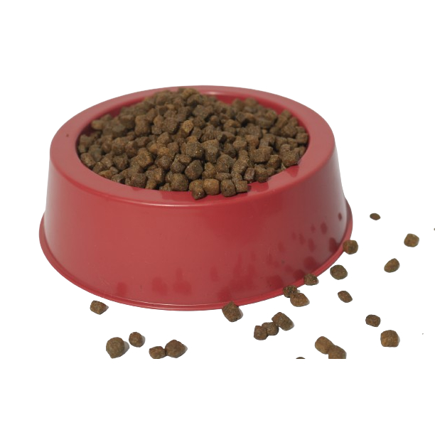 5 Comedouro Bebedouro Vasilha para Ração para Cachorro ou Pet - Pote 500ml - Imagem 5