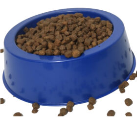 Comedouro Tigela Bebedouro Pet para Cachorro Gato tamanho 03 - Alimentadores de 680 ml