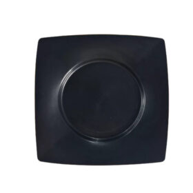 Kit 10 Pratos Jantar Quadrado 22 Cm Versátil Refeições